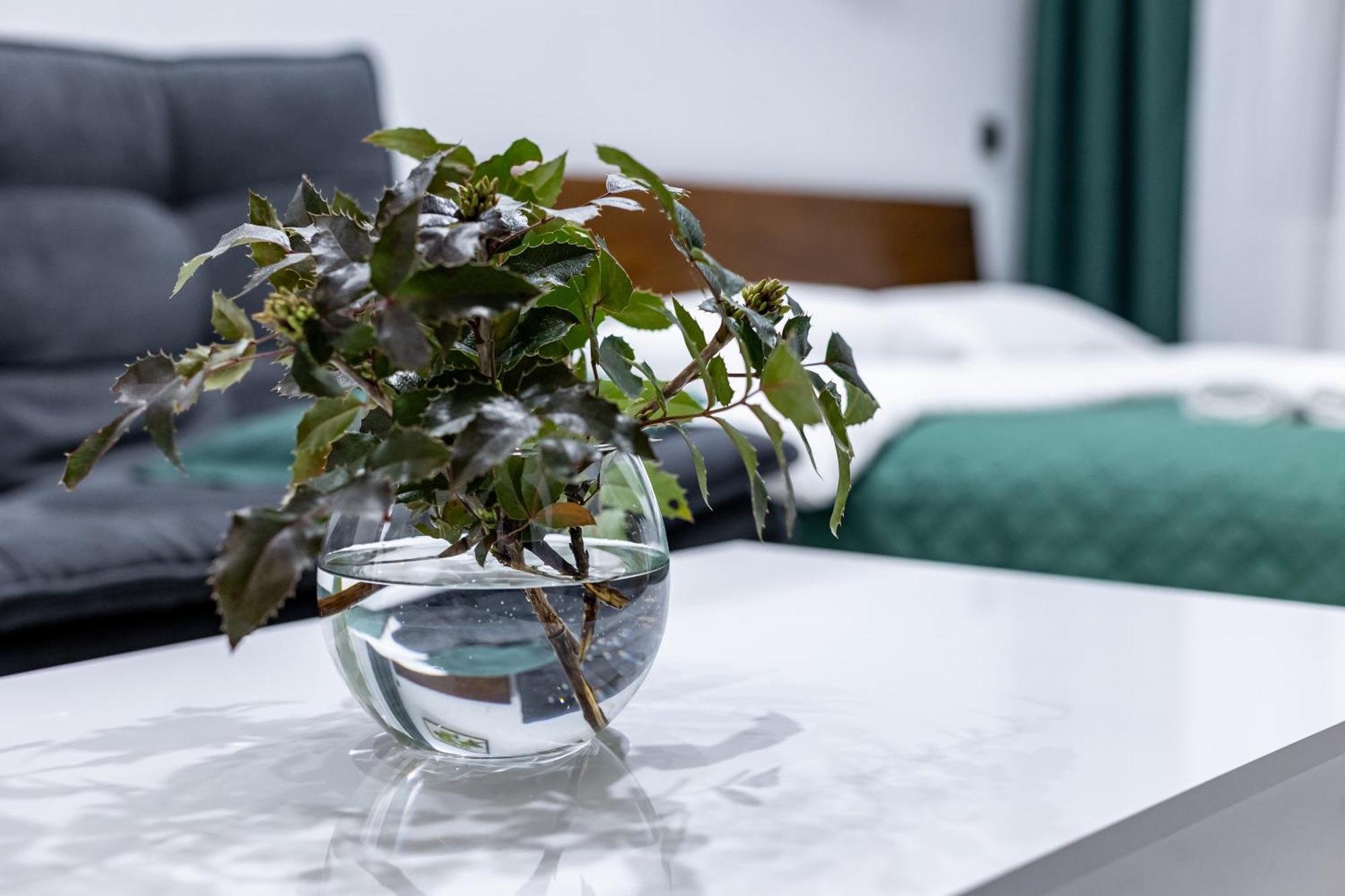 Cozy Apartments Center ลวีฟ ภายนอก รูปภาพ